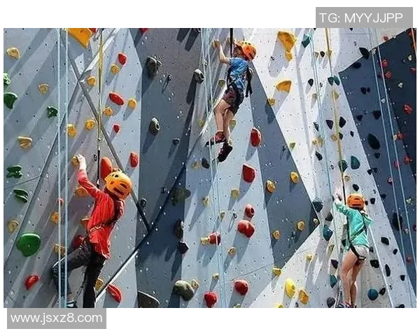 成都攀岩队耐力训练的挑战与突破探索之旅