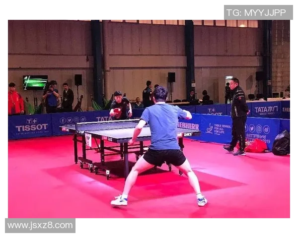 南京乒乓球队转型之路的挑战与机遇全面解析 南京乒乓球队转型之路的挑战与机遇全面解析